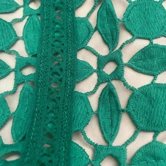 Ryan Michelle Dress Sz Petitie Meduim PM Green Floral Lace Fit Flare Midi Tirerd - Picture 4 of 8